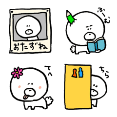 動く★まんまるカットの白わんこ★