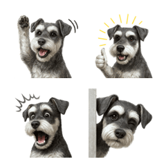 可愛い！シュナウザー 絵文字