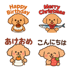 Toy Poodle and Japanese Seasonal Food