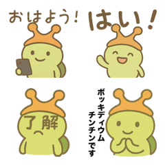 ボッキディウム・チンチンナブリフェルムだ