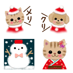 年末年始 & うさちゃん達の冬支度♡