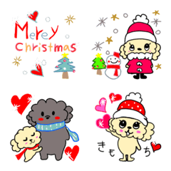 もこりんこ⭐️冬のティーカッププードル