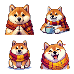 秋 冬 太っちょ柴犬 季節の気遣い