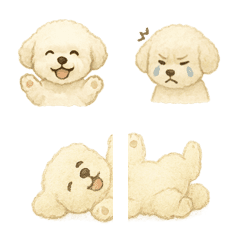 Emoji Toy Poodle Putih Gaya Cat Air