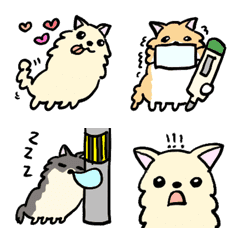 動く★チワワわちゃわちゃ★