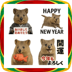 【あけおめ絵文字】クオッカワラビー2