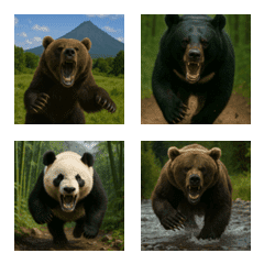 Bear Trio Emojis