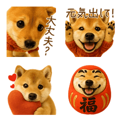 柴犬の気遣いフレーズ絵文字