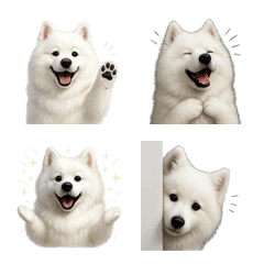 น่ารัก! อีโมจิสุนัขซามอยด์