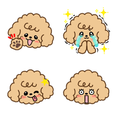 ふわふわトイプードル♡ もふ