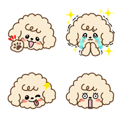 ふわふわトイプードル♡ ふわ