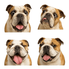 บูลด็อกที่สมจริง