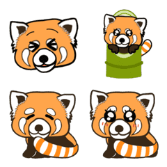 Red panda. Red panda.