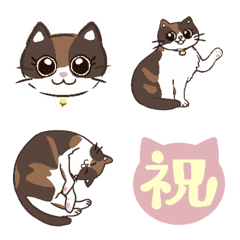 MARU-CHAN CAT EMOJI
