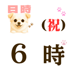 Tiny Chihuahua Daily Numbers