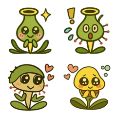 Cephatalus and Utricularia