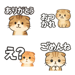Cute Scotch Fold Cat Daily Emoji