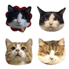 Fukuchan and yaechan