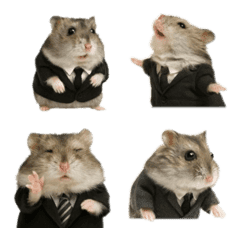 ชุดสมจริงหนูแฮมสเตอร์ Dzungarian