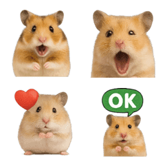 Realistic Hamster 2