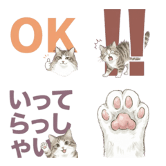 ノルウェージャンフォレストキャット日本語