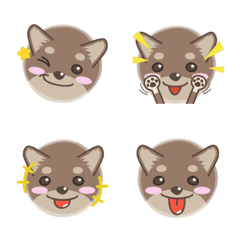 使いやすい！犬顔（チョコレートチワワ）