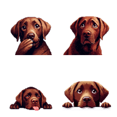 Pixelart noword Labrador Retriever brown