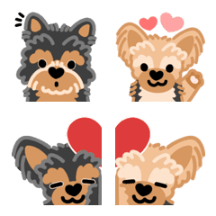 Heart Nose Yorkie