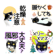 ミツ夫さんの冬の絵文字