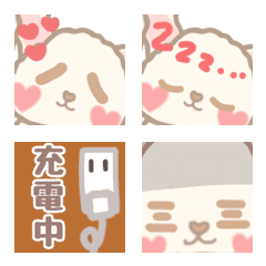 up of many faces of floppyeared rabbit