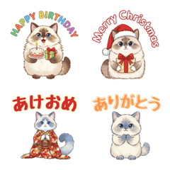 Cute Ragdoll Cat Daily Emoji