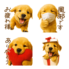 ゴールデンレトリーバーの気遣い絵文字