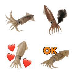 Realistic Squid2