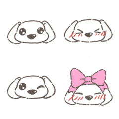 Small and cute Maltese