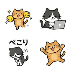 ちゃとらとハチワレ