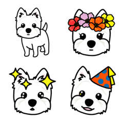 Various West Highland White Terrier