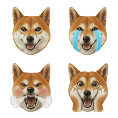 SHIBAINUDESU