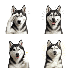 ใช้งานง่าย! อีโมจิไซบีเรียนฮัสกี