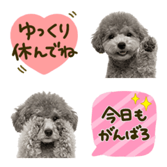Toy Poodle Everyday Thoughtful Emojis