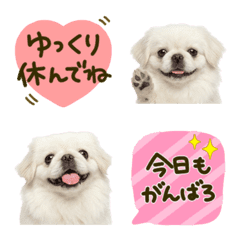 Pekingese Daily Care Emojis