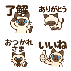 Cute Siamese Cat Daily Emoji