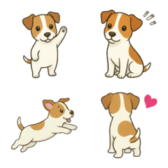 Jack Russell Terrier/Emoji002