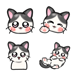 ぷっくりかわいいハチワレ猫絵文字