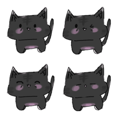 blackcatface