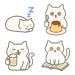 White cats never betray you