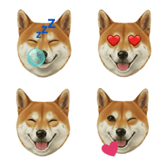 SHIBAINUDESU2