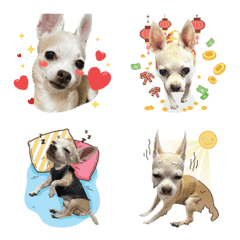 ปังปอนจิ๋วแต่แจ๋ว