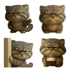Sulky Pallas Cat