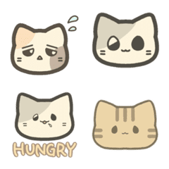 Cats sometimes hedgehog