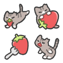 strawberry&cat